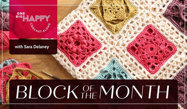 2024 Block of the Month Crochet Blanket with Sara Delaney | One Big Happy Yarn Co.