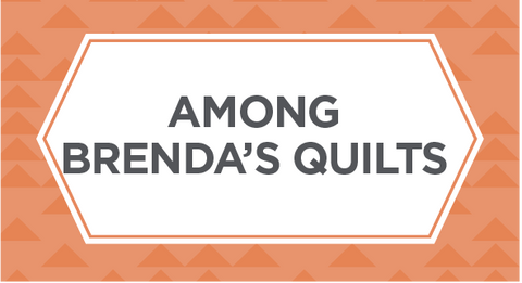 Shop our selection of Among Brenda's Quilts and Bags