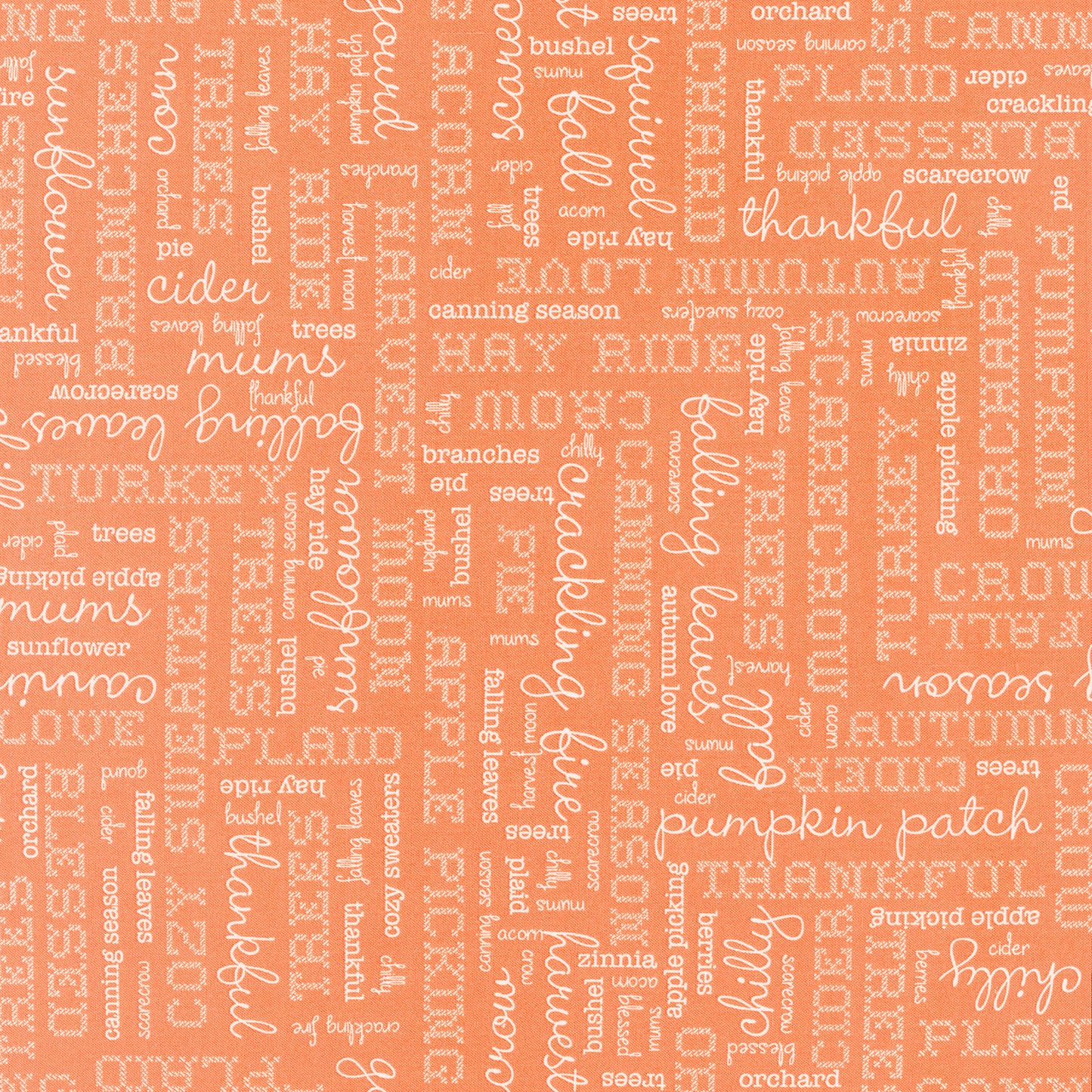 Autumn - Words Pumpkin Yardage Primary Image