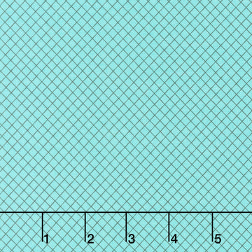 Tula Pink's True Colors - On the Grid Raindrop Yardage