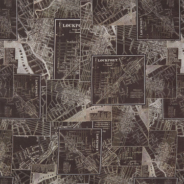 Eclectic Elements - Palette Map Charcoal Yardage