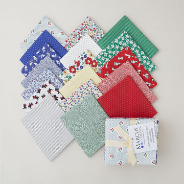 Aunt Grace Goes Bold Fat Quarter Bundle