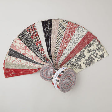 Modern Classics 2 1/2" Strips