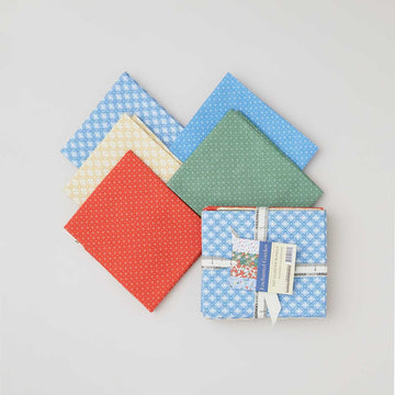 Enchanted Garden Fat Quarter Bundle - Blenders Colorstory 5 Piece