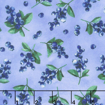 Garden Goodness - Tossed Blueberry Sprigs Blueberry Yardage