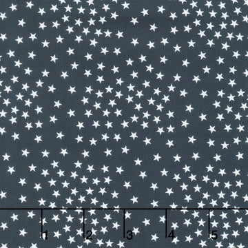 Path To Freedom - Stars Navy Yardage