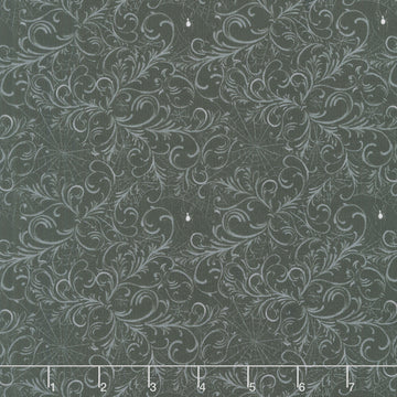 Dark Academia - Scrolls and Webs Charcoal Yardage