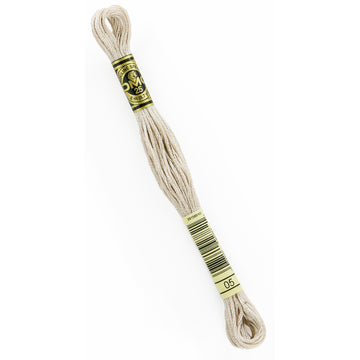 DMC Embroidery Floss - 05 Light Driftwood Primary Image