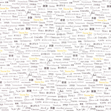 108" Quilt Back - White Thank You 108" Wide Backing
