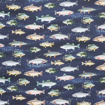 Animals (Timeless Treasures) - Fish Blue Yardage Primary Image