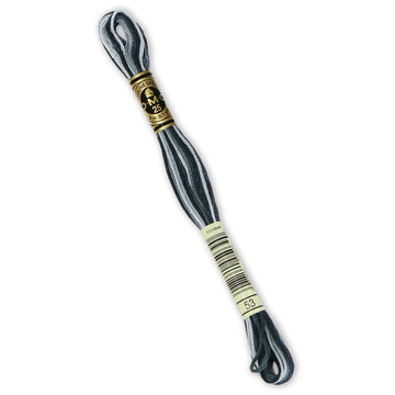 DMC Embroidery Floss - 53 Variegated Steel Gray Primary Image