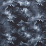 Dragon's Lair - Dark Grey Cloud Sky Grey Yardage Primary Image