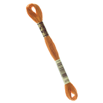 DMC Embroidery Floss - 976 Medium Golden Brown Primary Image