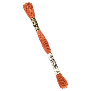 DMC Embroidery Floss - 301 Medium Mahogany Primary Image