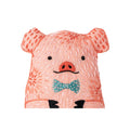 D.I.Y. Embroidered Doll Kit - Pig