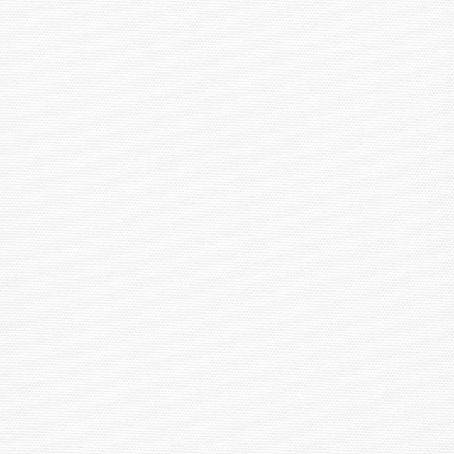 Big Sur Canvas - Solid White Yardage Primary Image