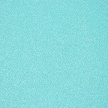 Robin Egg Pebble Faux Leather - 1/2 Yard Cut Primary Image