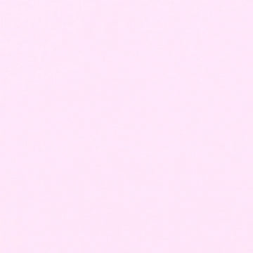 Designer Essential Solids - Tula Pink Sparkle Yardage