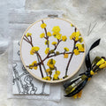 Cornelian Cherry Dogwood Botanical Embroidery Kit