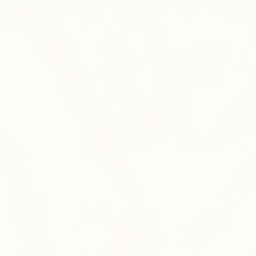 Natural Premier Quilting Muslin 108" Wide Backing Primary Image