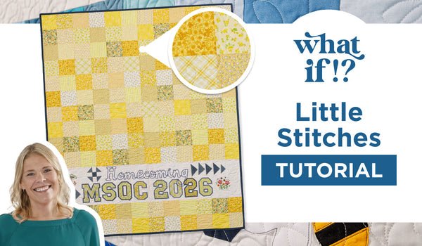 What If? Little Stitches