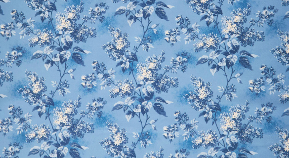 Blue Sky 108
