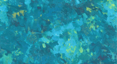 Chroma Wide Backing Fabric Collection