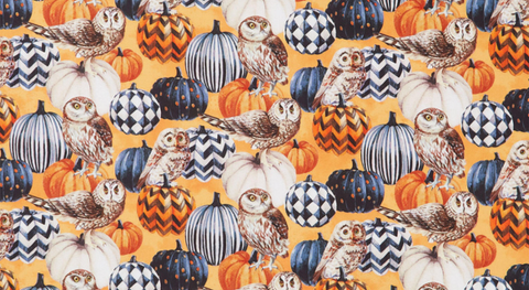 Patterned orange, black, and white pumpkins with owls tossed on an orange background.