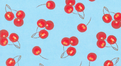 Patchwork Picnic Fabric Collection