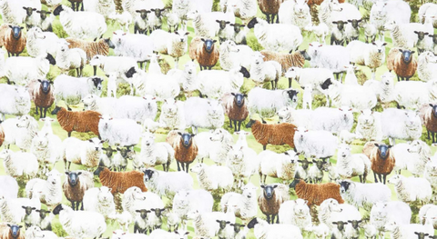 White and brown sheep on a green grass background, one of several unique prints from the Timeless Treasures Novelty fabric collection.