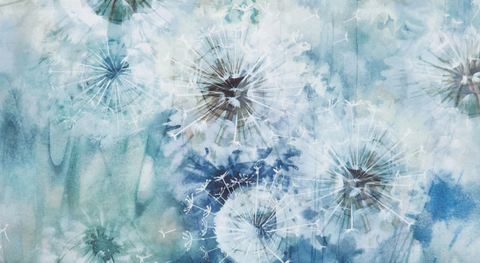 White dandelions on a teal background from the Whisper fabric collection by Northcott.