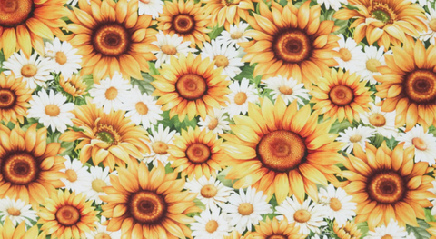 You Are My Sunshine Fabric Collection