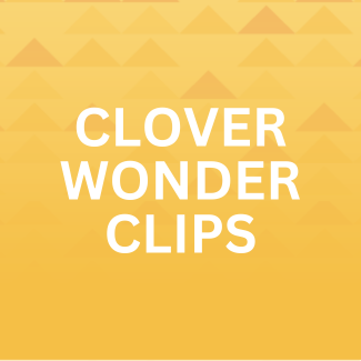 shop our selection of clover wonder clips here.