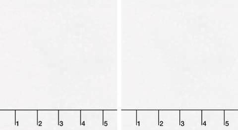 Pen and Ink by Studio RK for Robert Kaufman