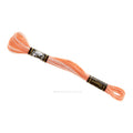 Presencia 6 Ply Cotton Embroidery Floss Salsa