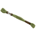 Presencia 6 Ply Cotton Embroidery Floss Light Pine Green