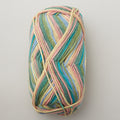 Berroco Comfort DK Print Yarn