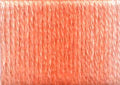 Presencia 6 Ply Cotton Embroidery Floss Salsa