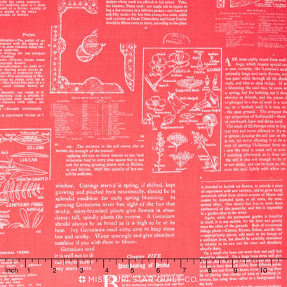 Desert Bloom - Desert Text Pink Yardage