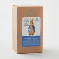 Jim Shore Heartwood Creek Mini Peter Rabbit Figurine Alternative View #2