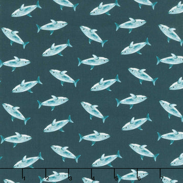 Pirates Ahoy - Sharks Teal Yardage