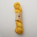 Madelinetosh Tosh Vintage Yarn - Pinata Pop