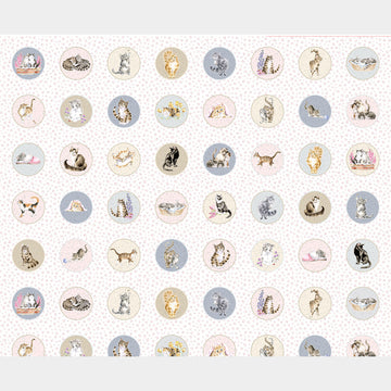 Whiskers & Paws - Cats Running Circles Multi Panel Primary Image