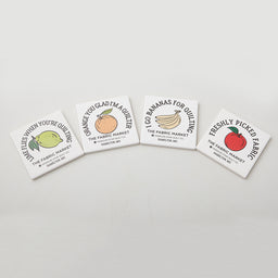 Missouri Star Punny Produce Absorbent Stone Coaster Set