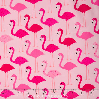 Urban Zoologie - Pink Flamingos Yardage