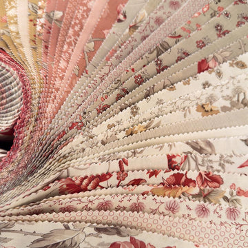 Joie de Vivre 2.5" Strips