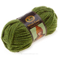 Wool-Ease Thick & Quick - Grass Yarn