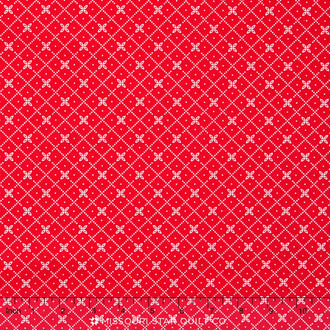 Bloom and Bliss - Diamond Red Yardage