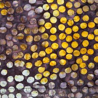 Tonga Batiks - Honeybee Large Dots Yardage
