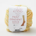 Laines Du Nord Paint Gradient Sock Yarn